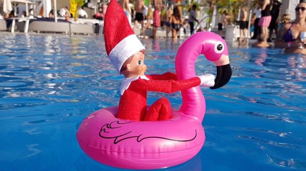 Theodore Dingelberry