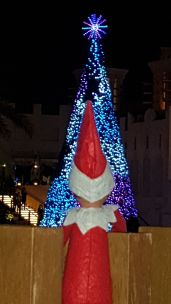 Theodore's First Christmas