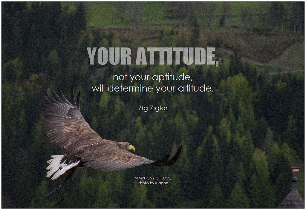 The Other Side of Bad Attitude