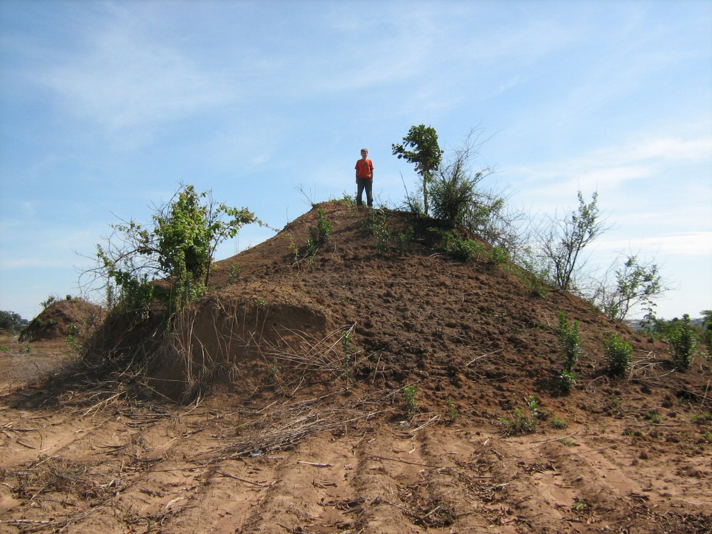 Giant Anthill - Ndola Zambia