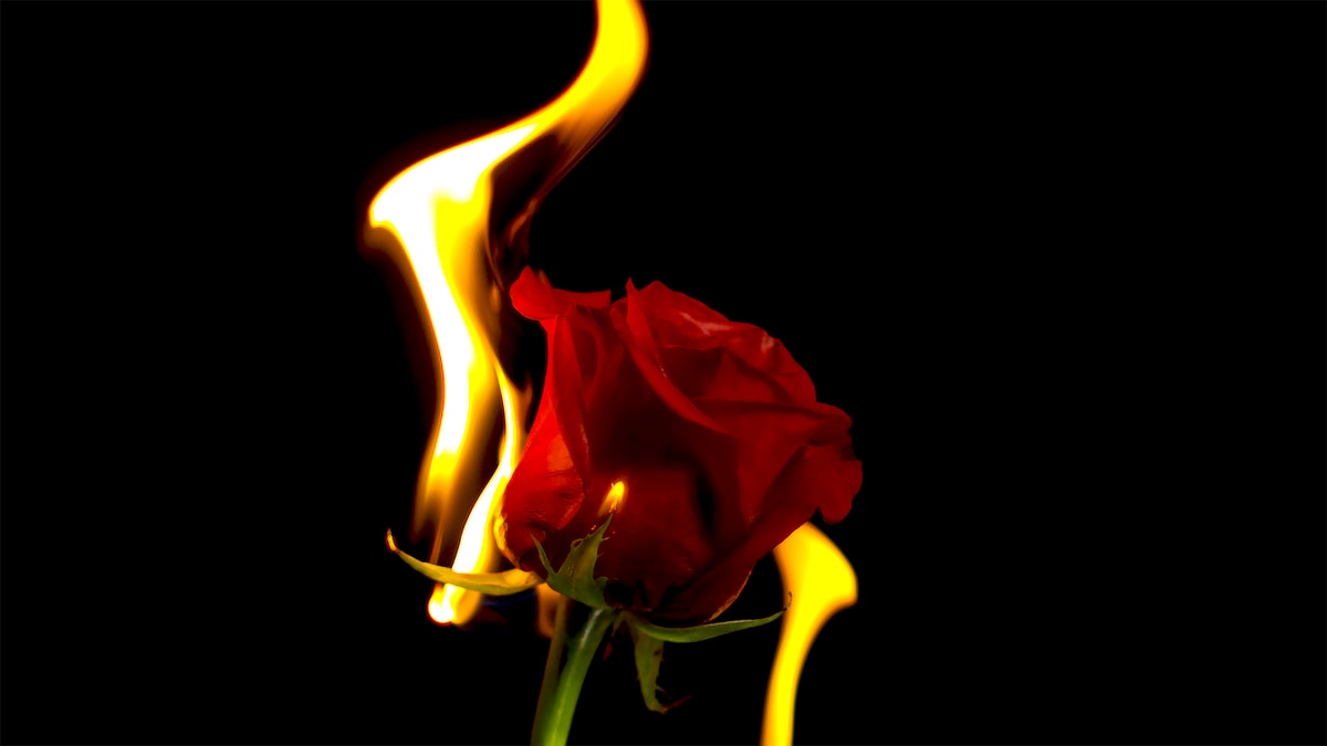 Fire In The Heart-Peter’s Quote for The Day.