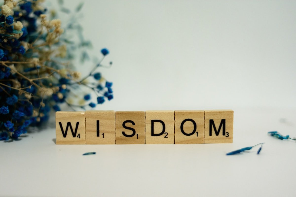 Humanity and Wisdom-Peter’s Quote for The Day.