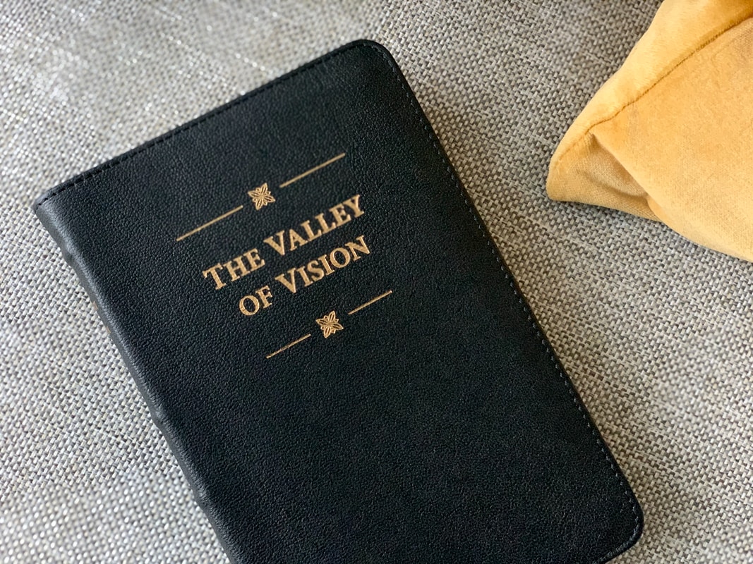 Visionary-Wisdom Snippets From Peter