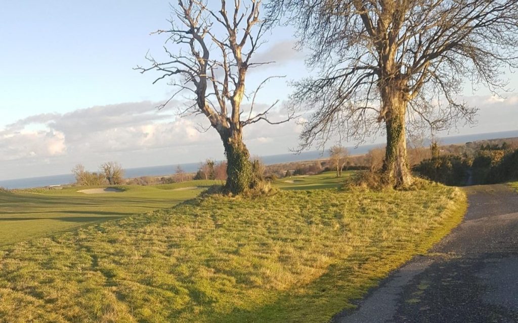 Weekly Word of Wisdom