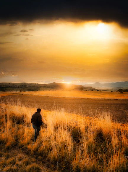 The Power of Now – Journal