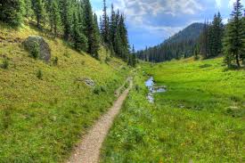 A Day in the Life of the Narrow Road