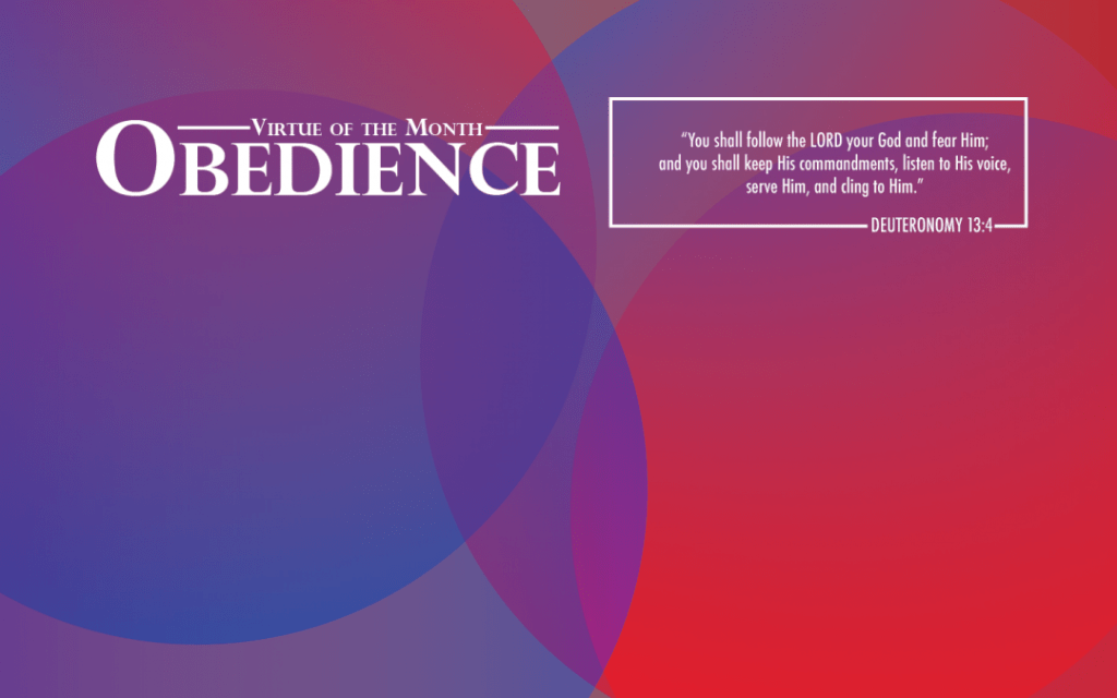 Who’s Boss Around&nbsp;Here?