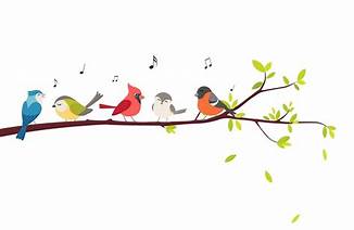 Birds Singing