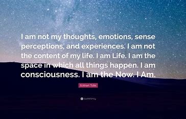 Senses and in the Now