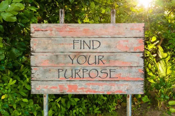 Find Your Purpose