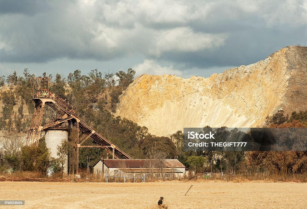 Love Life and Live Your Purpose –&nbsp;Life